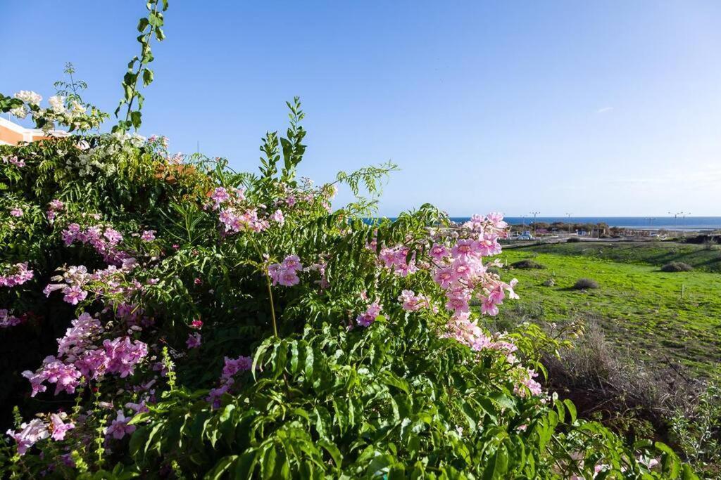 Tejita Beach La Tejita Dış mekan fotoğraf